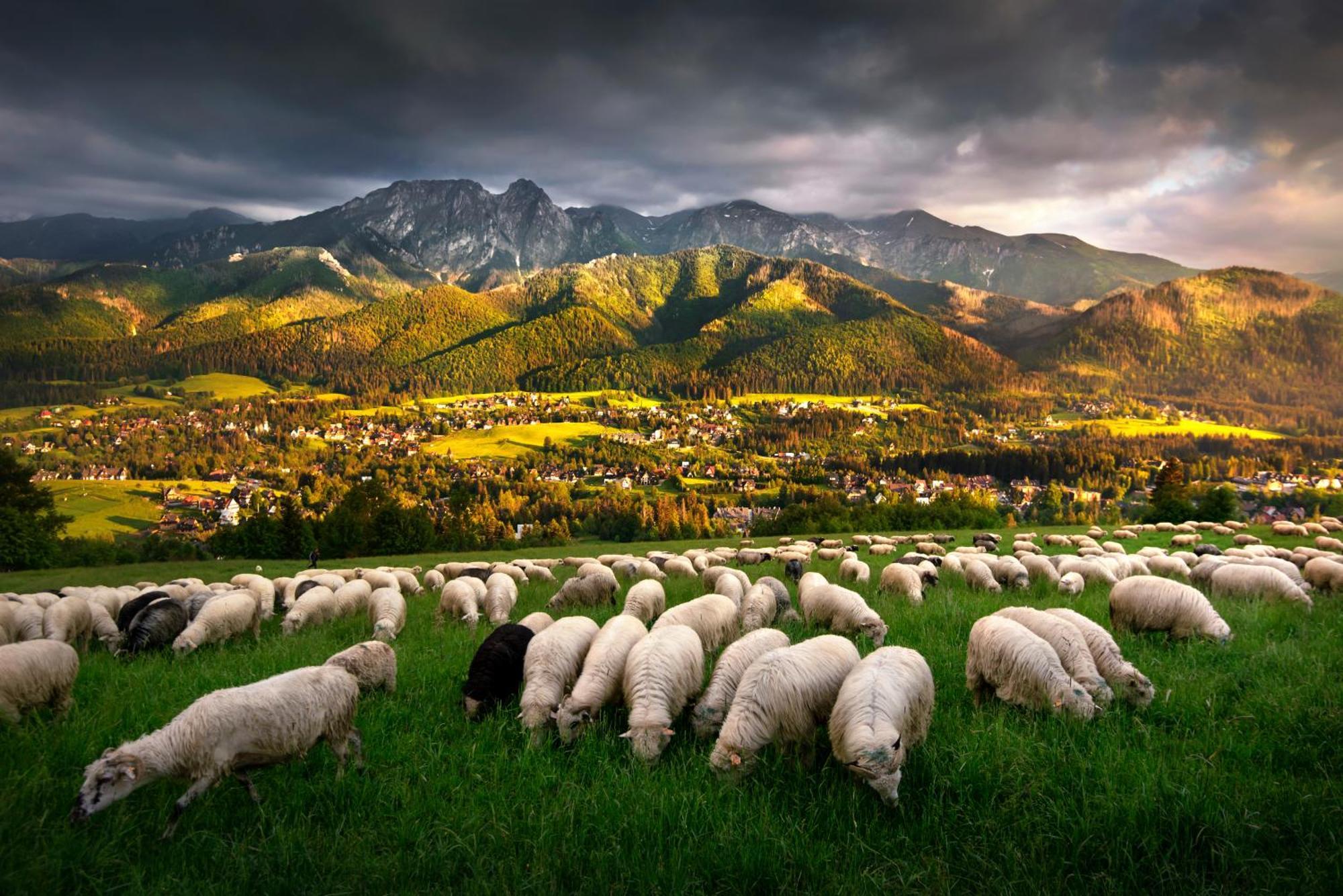 Gorska Osada Lovely Chalets Zakopane Poronin Luaran gambar